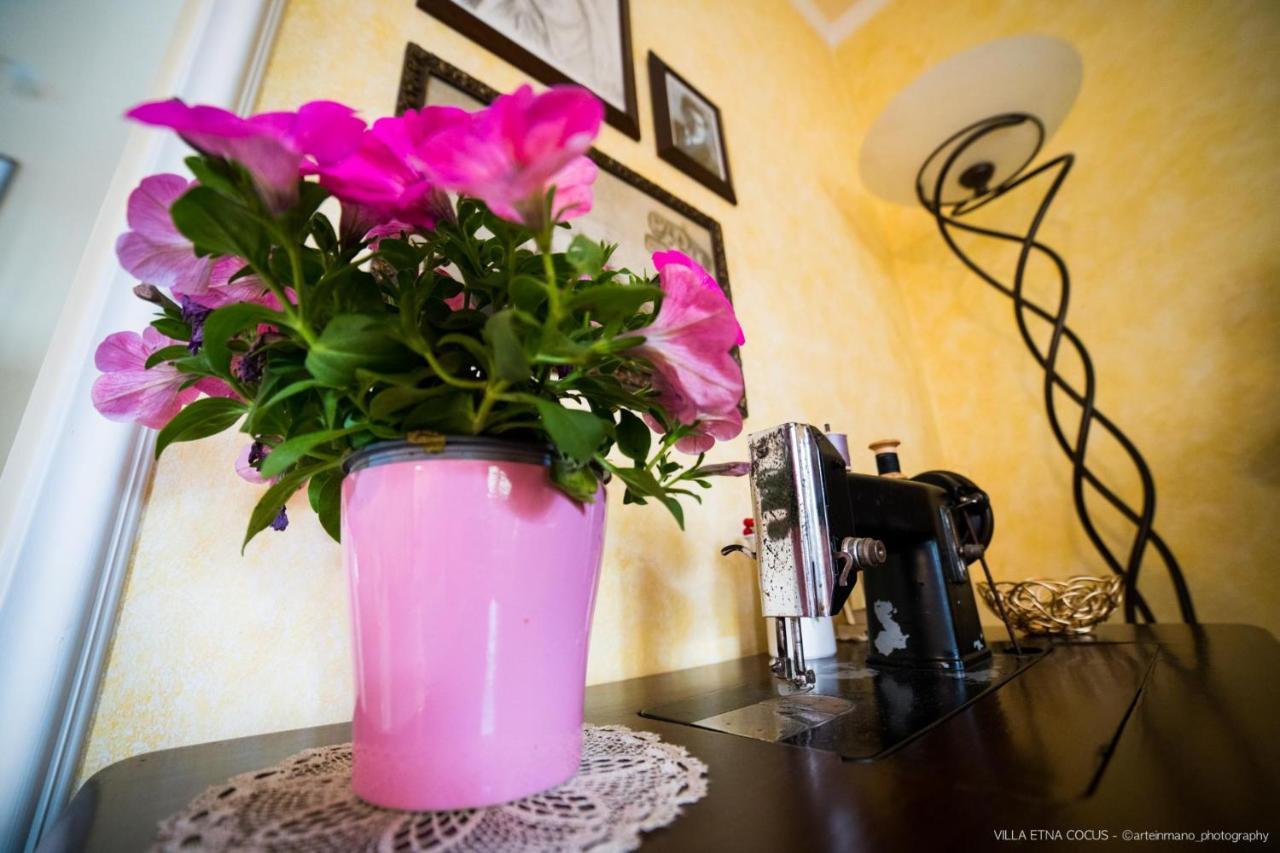 Casa Vacanze Etna Cocus Санта Венерина Екстериор снимка